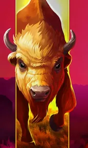 Big Wild Buffalo