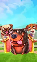 The Dog House