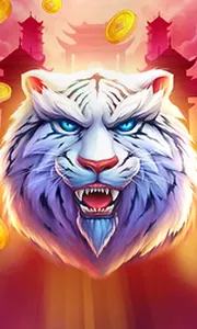 Luck of Tiger