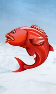 Ice Fishing